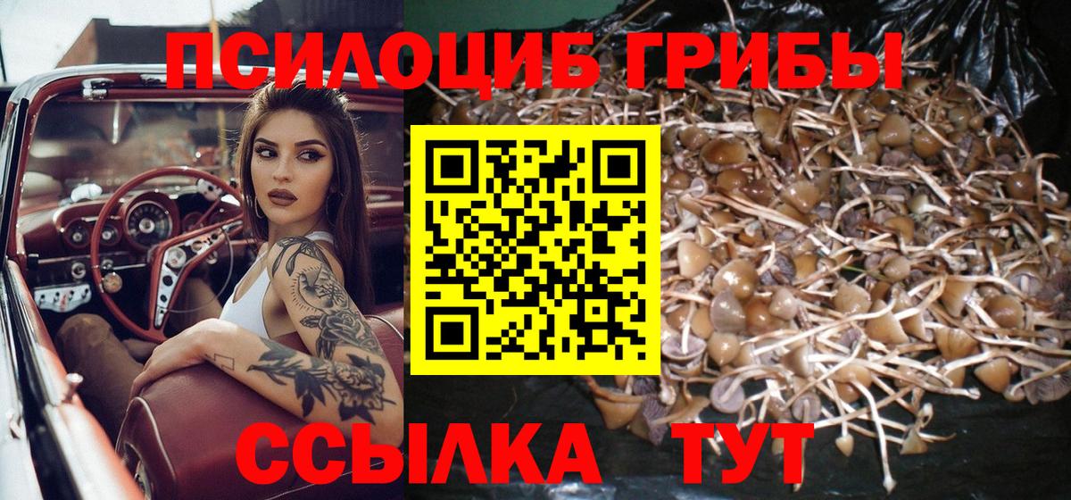 Галлюциногенные грибы GOLDEN TEACHER Ульяновск